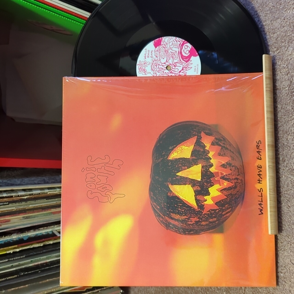 Sonic Youth - The Walls Have Ears Live 1985 Vinyl Record